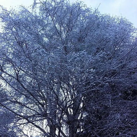 Park Evancon Verres